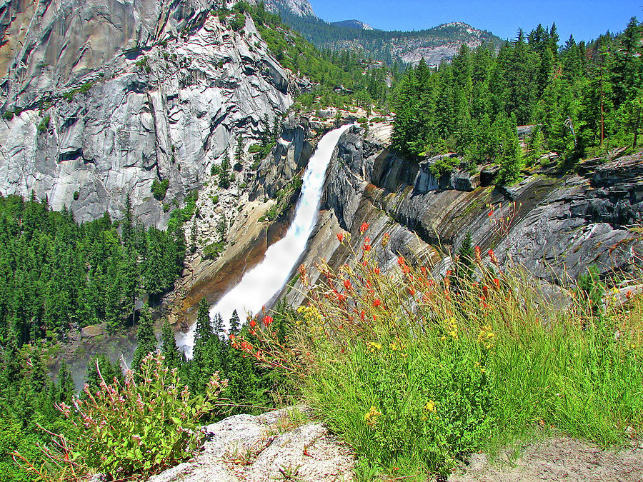 Nevada Falls And Wildflowers From John Photograph by Photo By Bill Birtwhistle