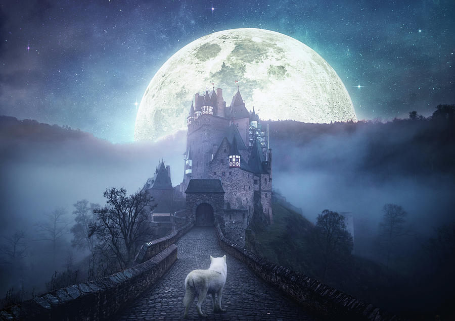 Castle Digital Art - Never Cry Wolf by Mohamad Husen