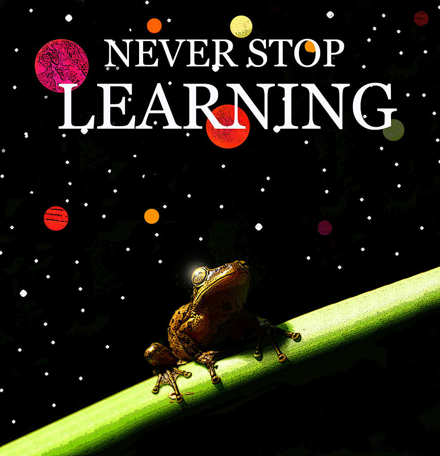 Never stop learning Digital Art by David Lee Thompson