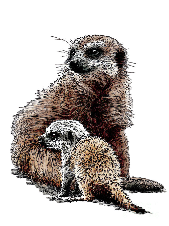 Animal Painting - New Baby Meerkats On White, 2020 by Mike Davis