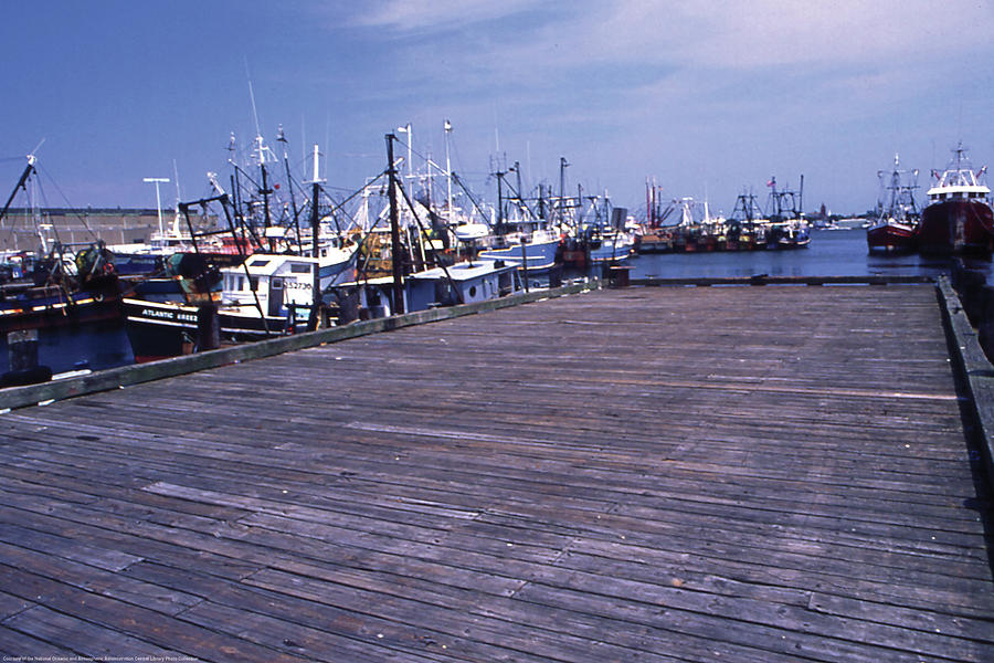 New Bedford Fishing Boats Painting by William B. Folsom