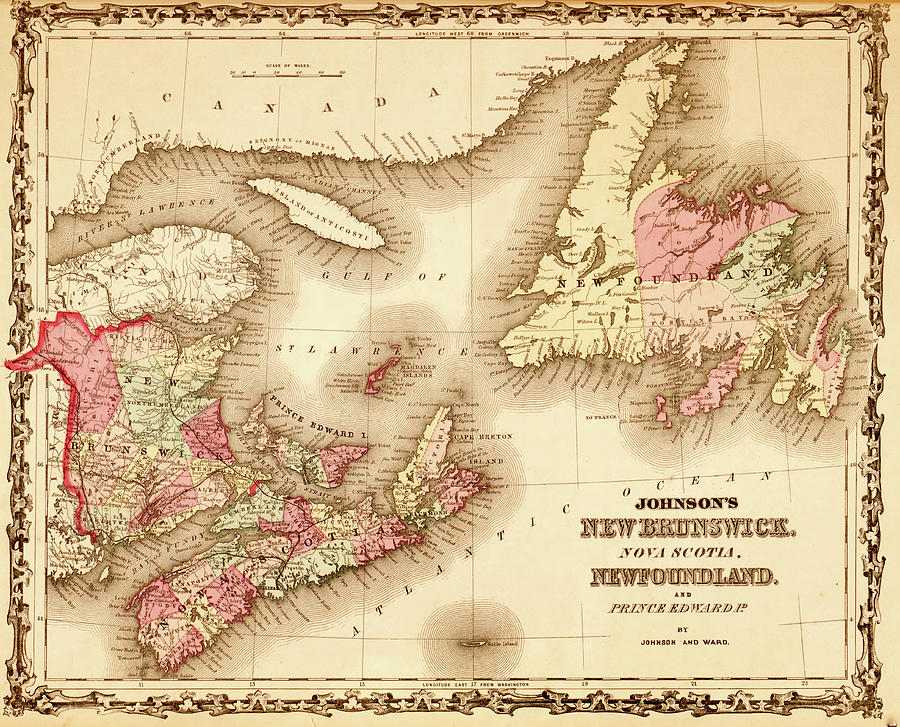 Map Painting - New Brunswick & Newfoundland - 1862 by Unknown