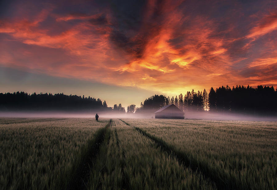 New Dawn. Photograph by Mika Suutari