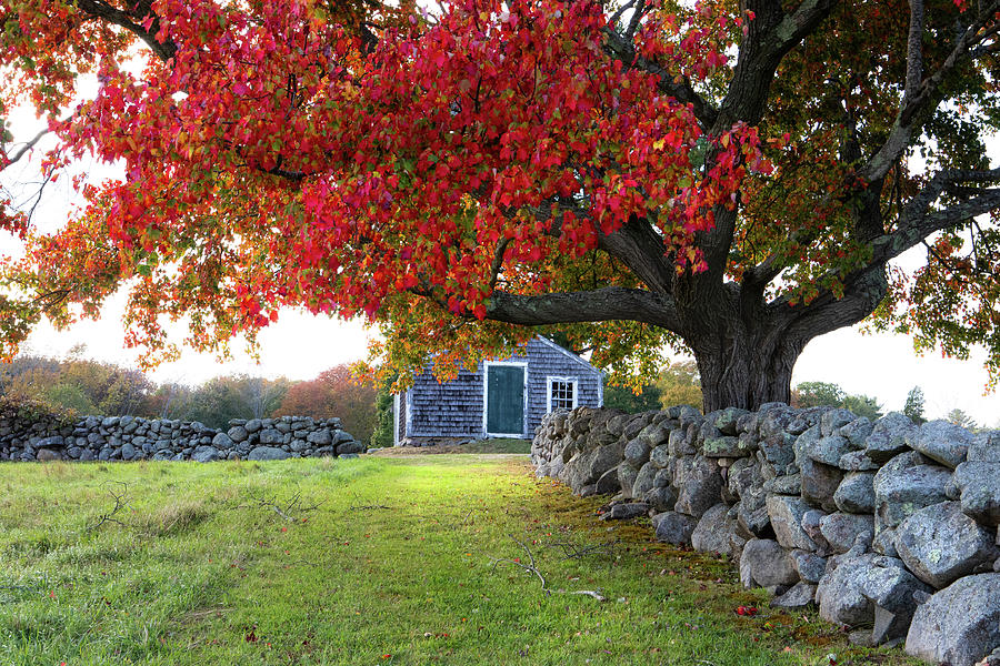 New England Autumn by Steven David Roberts New England Autumn by Steven David Roberts