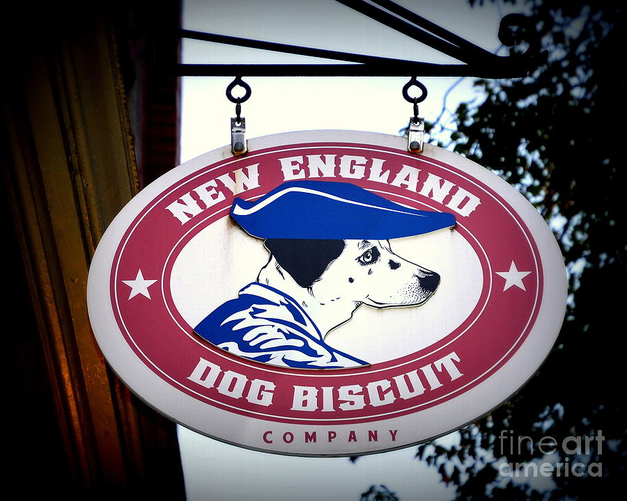 Salem Photograph - New England Dog Biscuits by Tru Waters