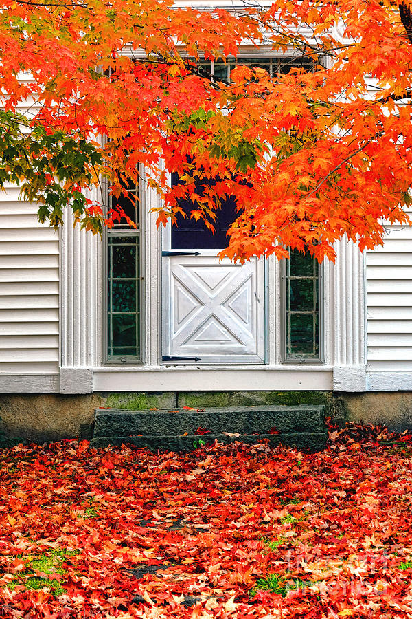 New England Door in Fall Photograph by Olivier Le Queinec