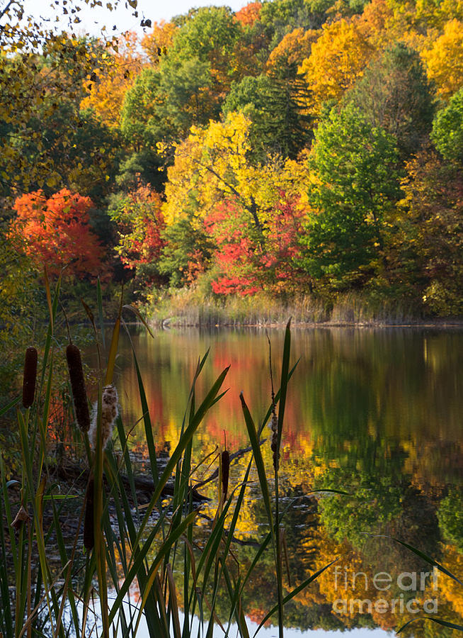 New England Fall Colors at the Pond Photograph by April Bielefeldt ...