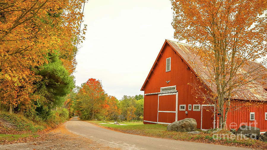 New England Fall Foliage Croydon New Hampshire Photograph by Edward Fielding