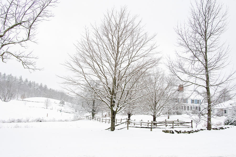 New England Farmhouse Photograph by Donna Doherty