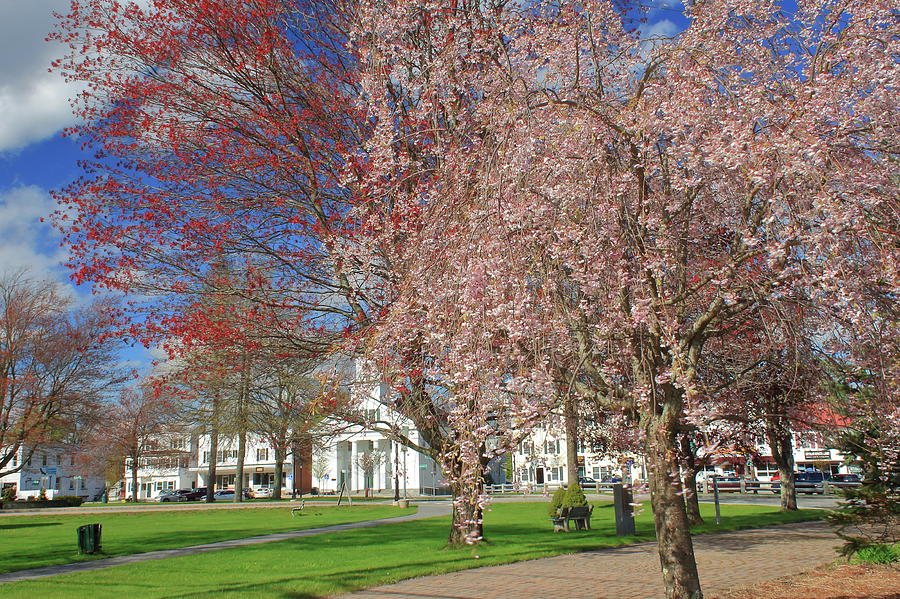 New England Town Common in Spring Photograph by John Burk