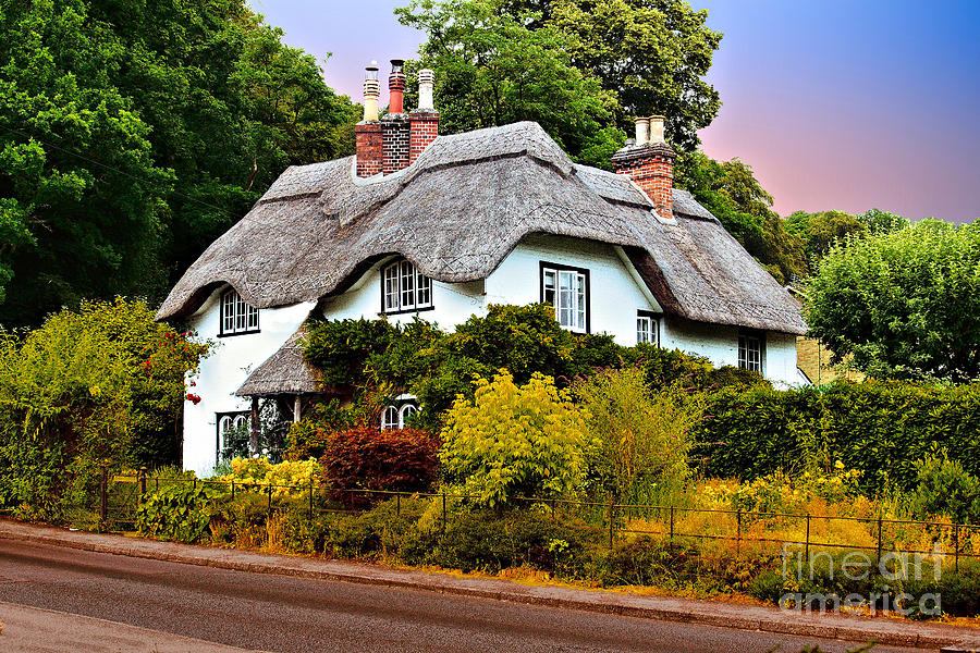 New Forest Cottage Photograph