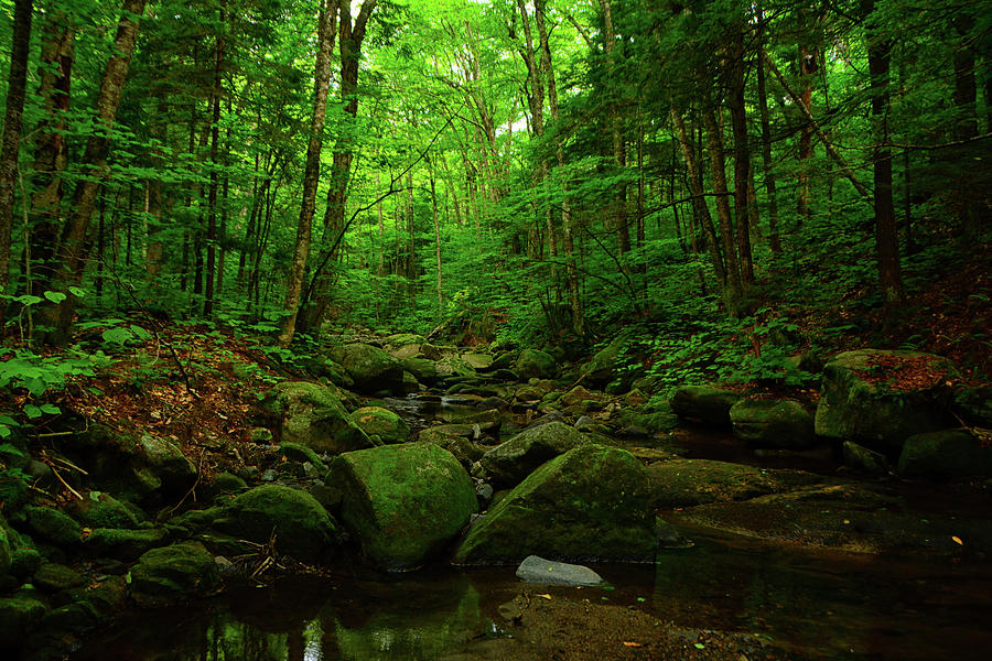 New Hampshire Stream Photograph by Raymond Salani III