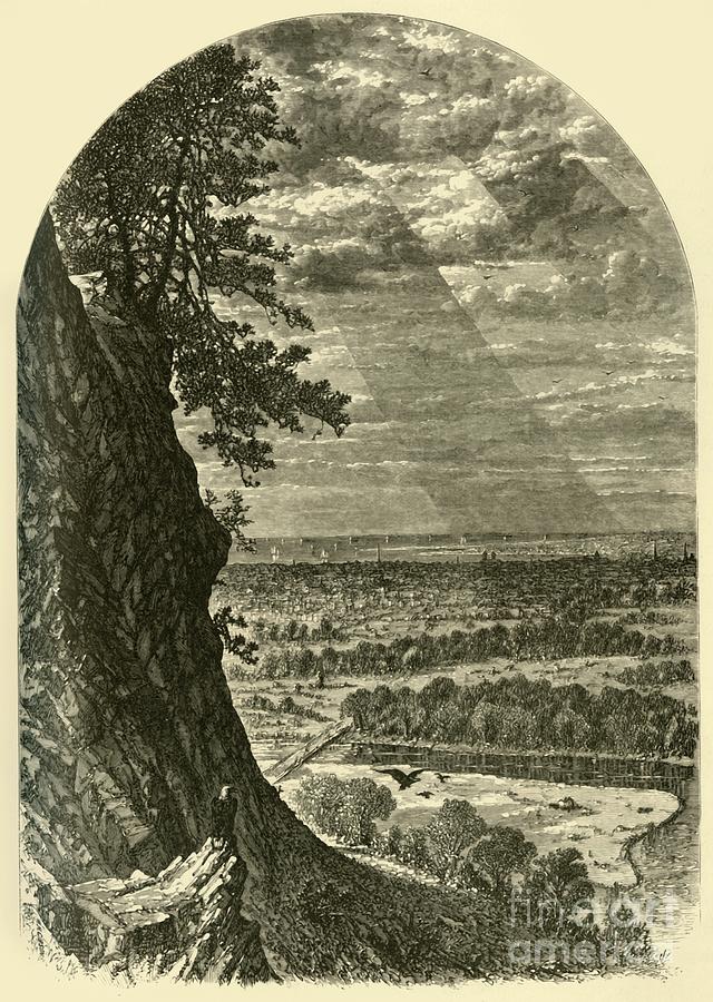 New Haven Drawing by Print Collector