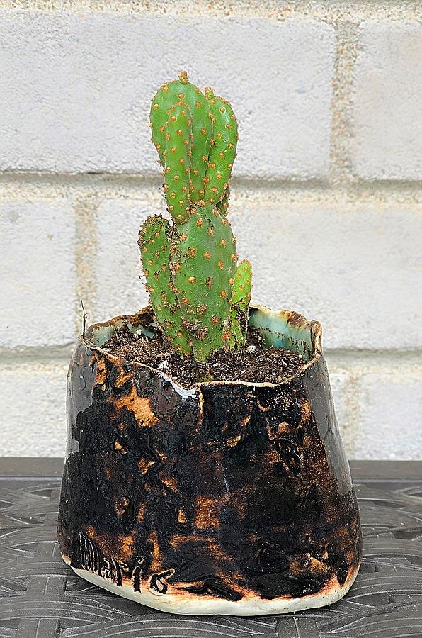 New Home for the Prickly Pear by Mario MJ Perron New Home for the Prickly Pear by Mario MJ Perron