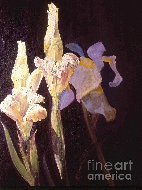New Iris  Painting by Frank Hoeffler