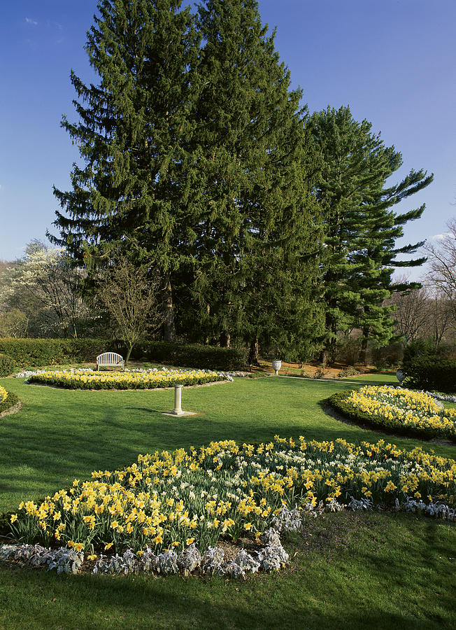 New Jersey State Botanical Garden, New Photograph by Artist - Unknown New Jersey State Botanical Garden, New Photograph by Artist - Unknown
