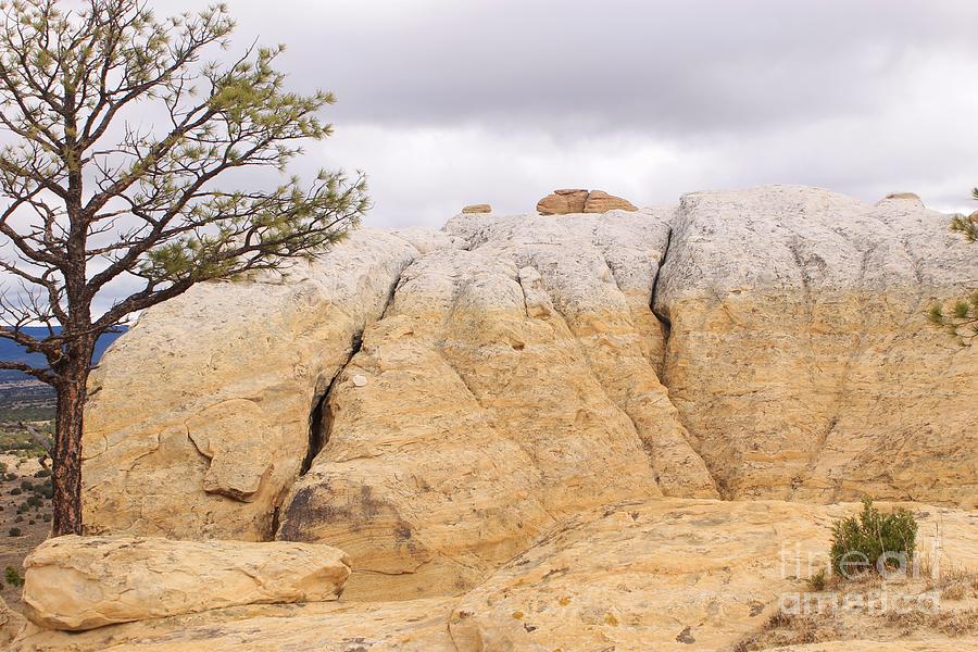 New Mexico Canyons 2 Photograph by Tonya Hance - Pixels