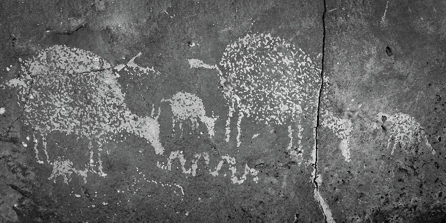New Mexico Petroglyph Photograph by Jeff Phillippi