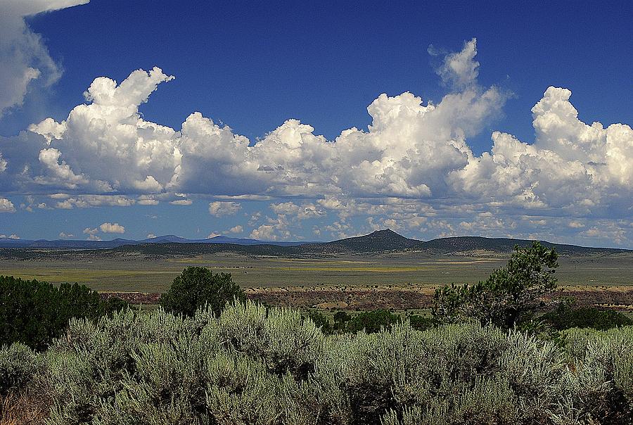 New Mexico Vista Photograph by Glory Ann Penington