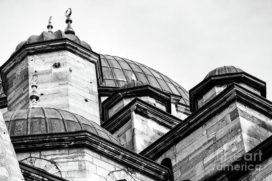 New Mosque Angles in Istanbul Photograph by John Rizzuto