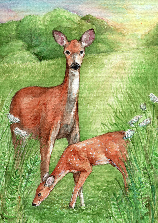 Animal Painting - New Mother And Fawn by Melinda Hipsher