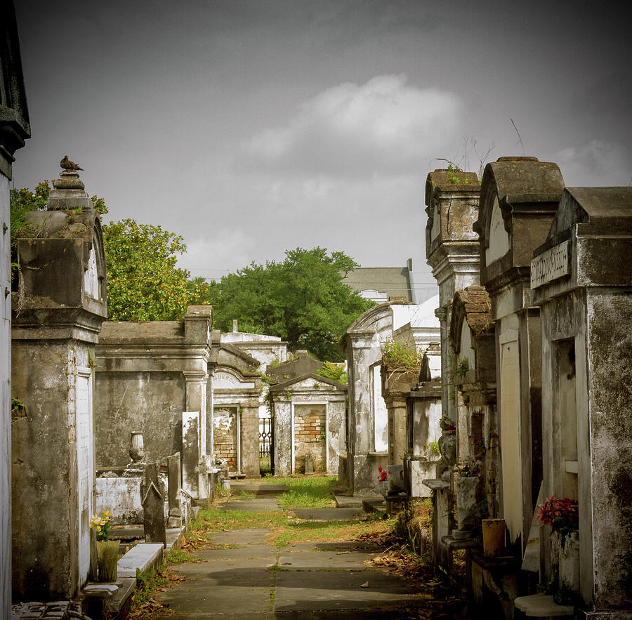 New Orleans Cemetery Photograph by Jean Noren