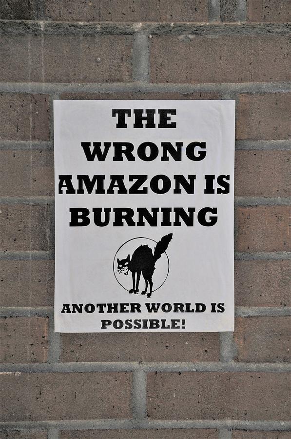 New Orleans Graffiti Sign Speaks Louder Than Words Wrong Amazon Burning Photograph by Michael Hoard