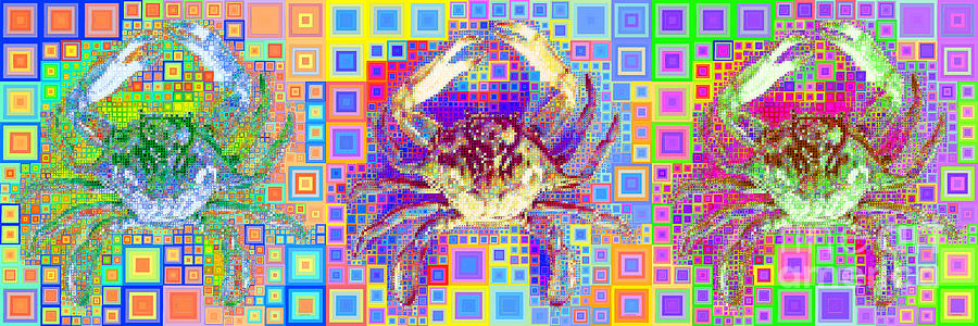 New Orleans Louisiana Bayou Blue Crab in Abstract Squares 20190203 Long Horizontal Photograph by Wingsdomain Art and Photography