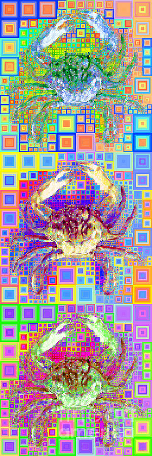 Abstract Photograph - New Orleans Louisiana Bayou Blue Crab in Abstract Squares 20190203 Long Vertical by Wingsdomain Art and Photography