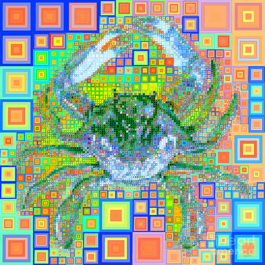New Orleans Louisiana Bayou Blue Crab in Abstract Squares 20190203 p168 Photograph by Wingsdomain Art and Photography