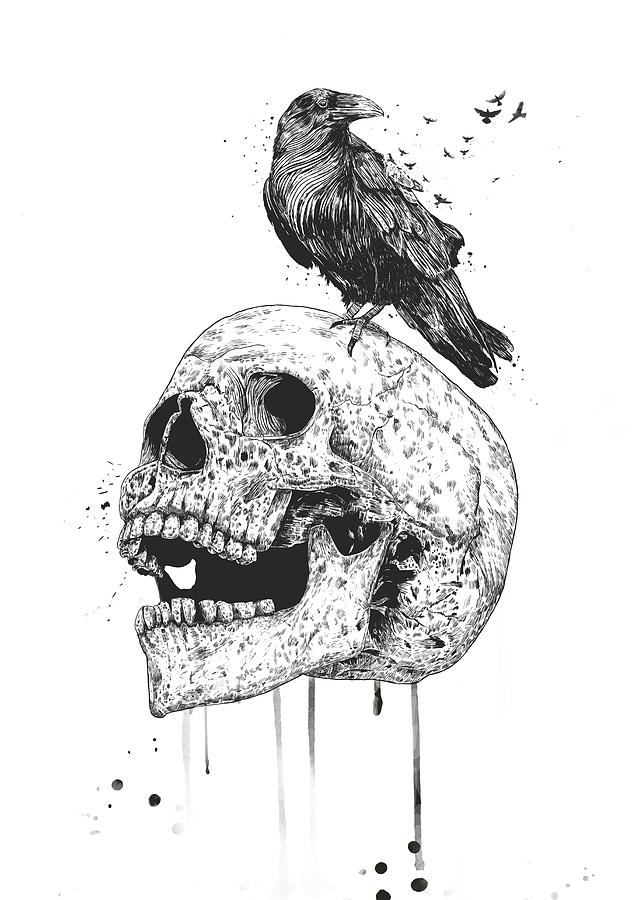 Raven Drawing - New skull by Balazs Solti