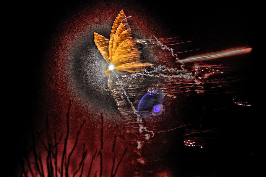 Abstract Photograph - New Year Butterfly by Bjrn A Hveding