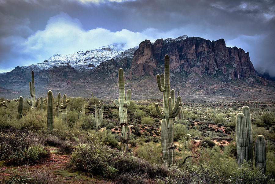New Years Day At The Superstitions Photograph by Saija Lehtonen