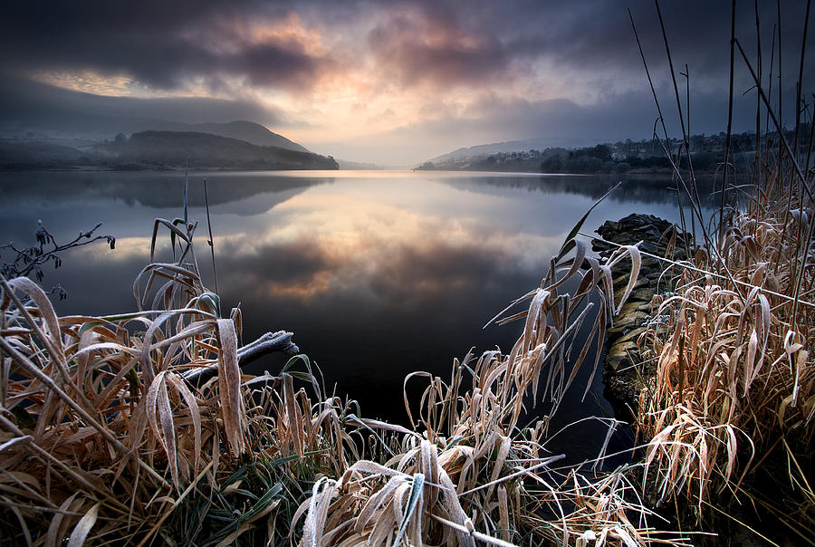 New Years Frost Photograph by Gary Mcparland