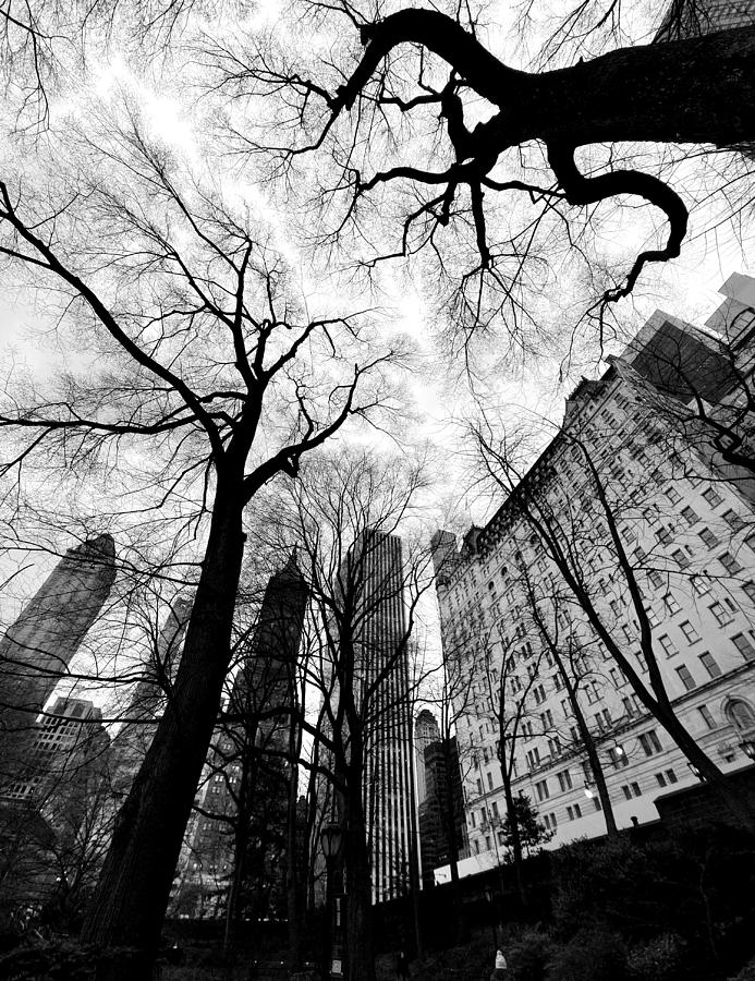 New York Architecture Photograph by Ivan Lesica - Fine Art America