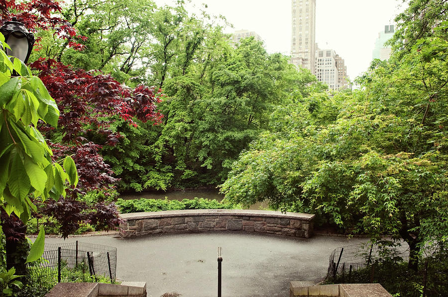 New York Central Park South Photograph by Magnez2