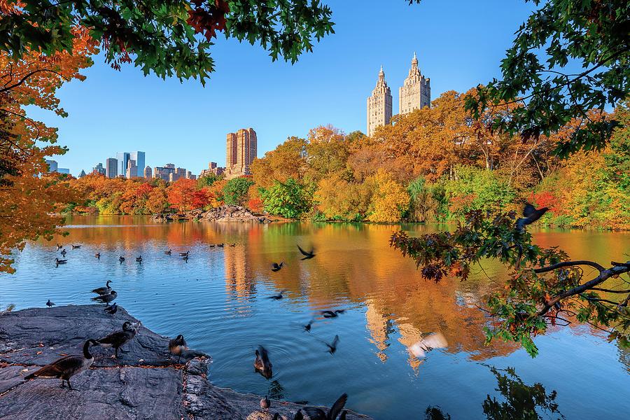 New York City, Manhattan, Central Park, Lake, San Remo Apartment Building And Foliage Digital Art by Antonino Bartuccio