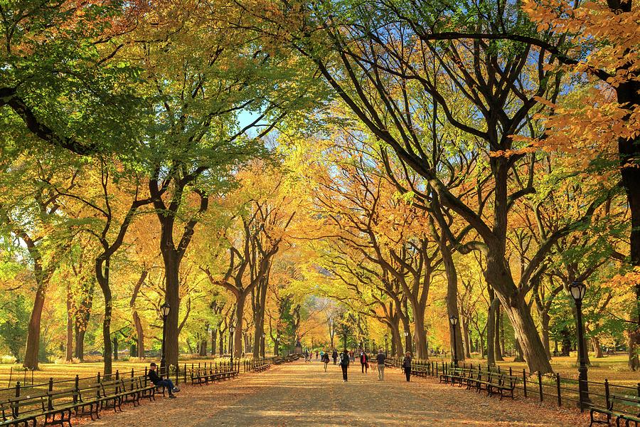 New York City, Manhattan, Central Park Digital Art by Michele Falzone