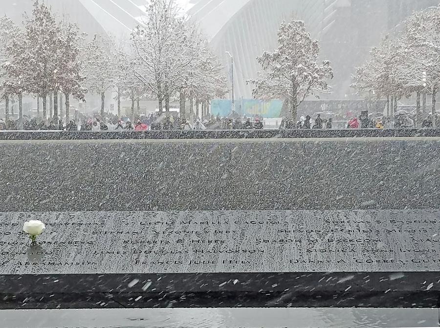 New York City Memorial Rose Winter Digital Art by Ann Johndro-Collins