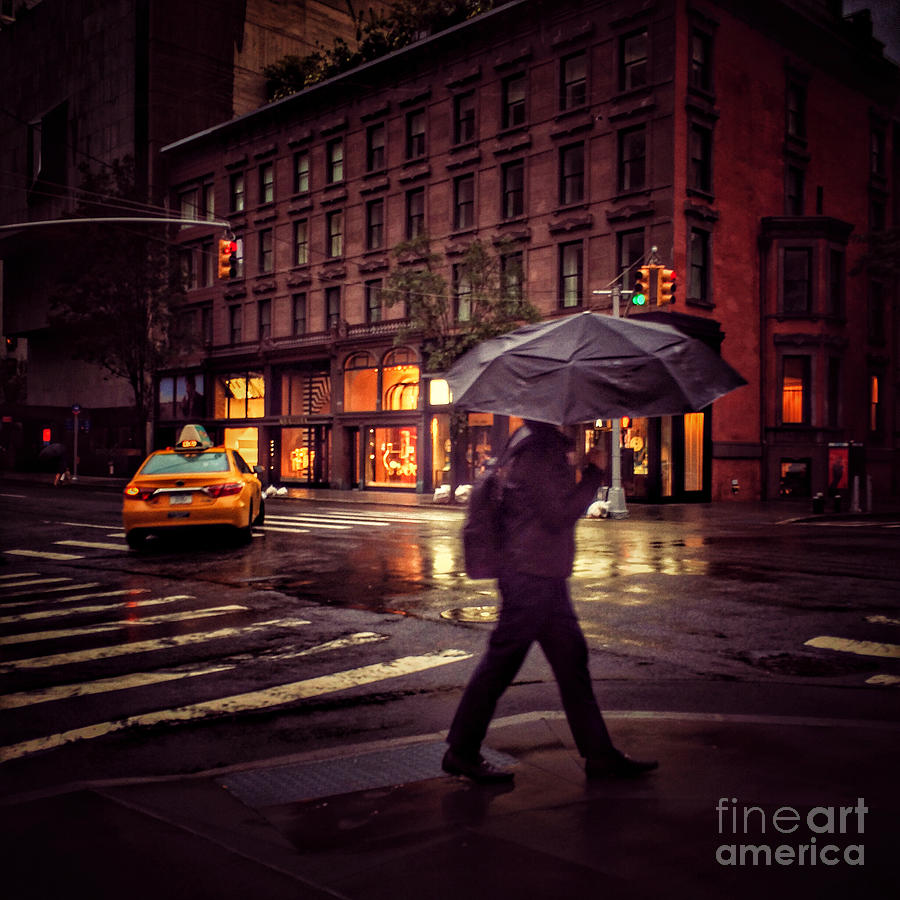 New York in the Rain Photograph by Miriam Danar