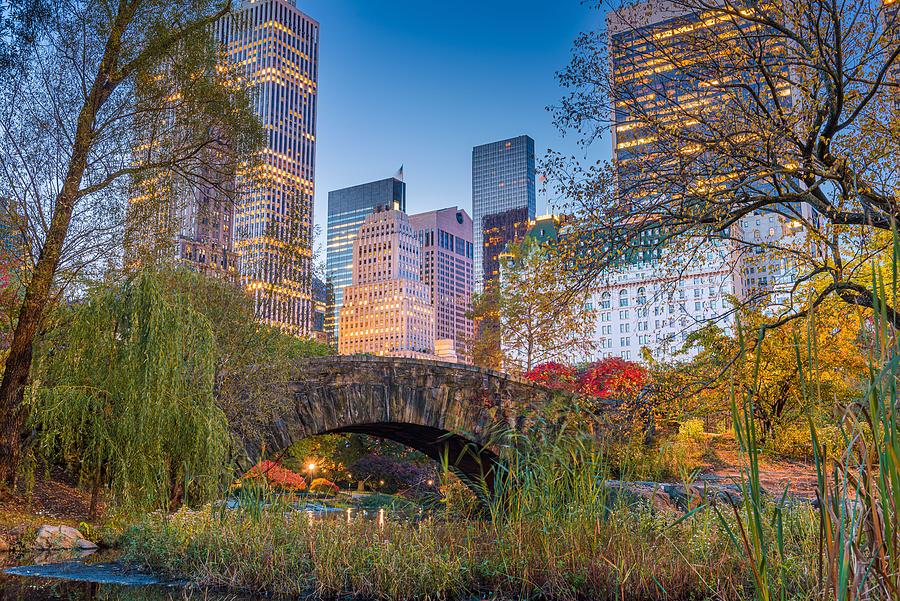Central Park Photograph - New York, New York, Usa From Central by Sean Pavone