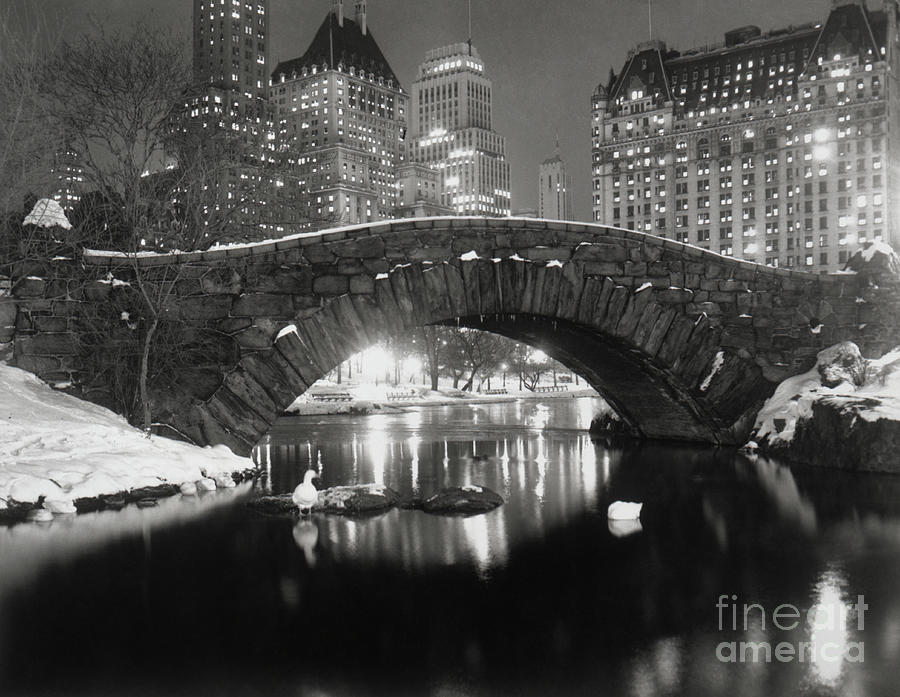 New York Pond In Winter Photograph by Bettmann