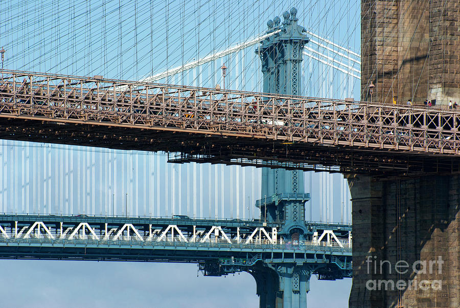 New York Suspension Bridges Photograph by Mark Williamson/science Photo Library