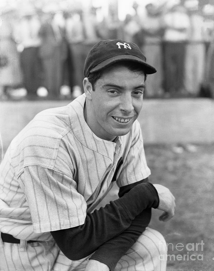 New York Yankees Outfielder Joe Photograph by Bettmann Pixels