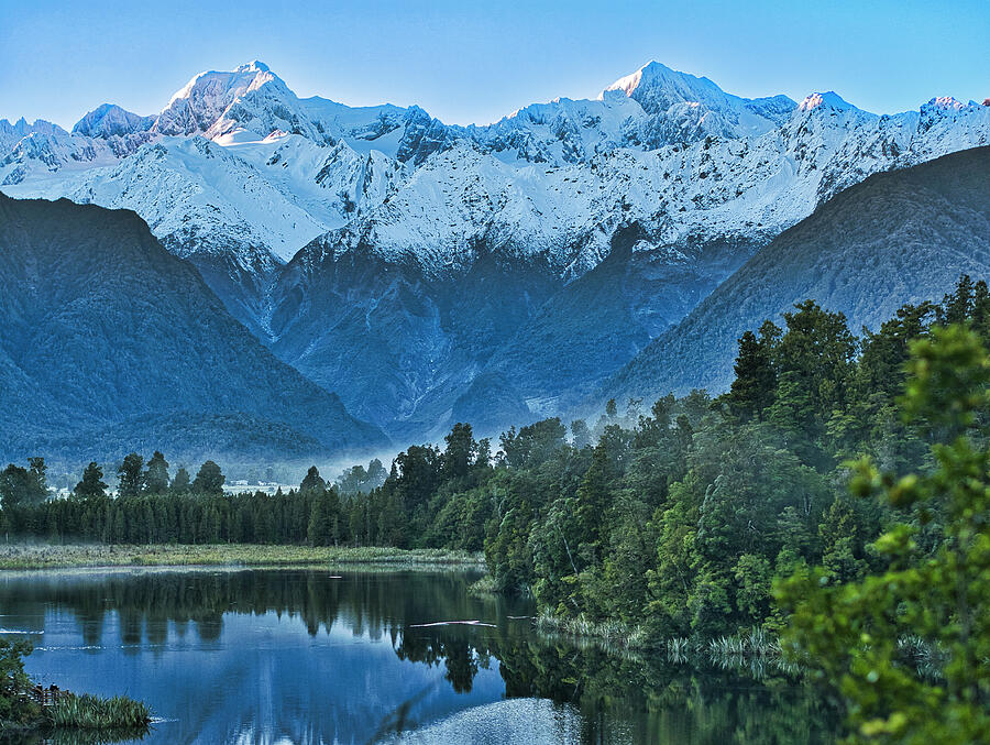 Tree Photograph - New Zealand Alps 2 by Steven Ralser