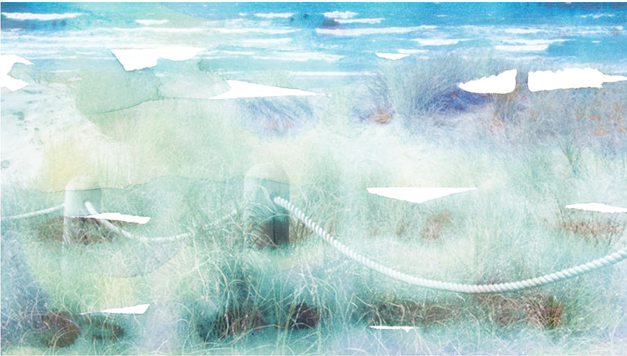 New Zealand beachscape by Jocelyn Friis New Zealand beachscape by Jocelyn Friis