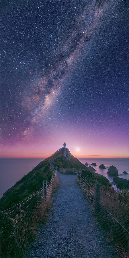 New Zealand - Nugget Point Milkyway Photograph by Jean Claude Castor ...