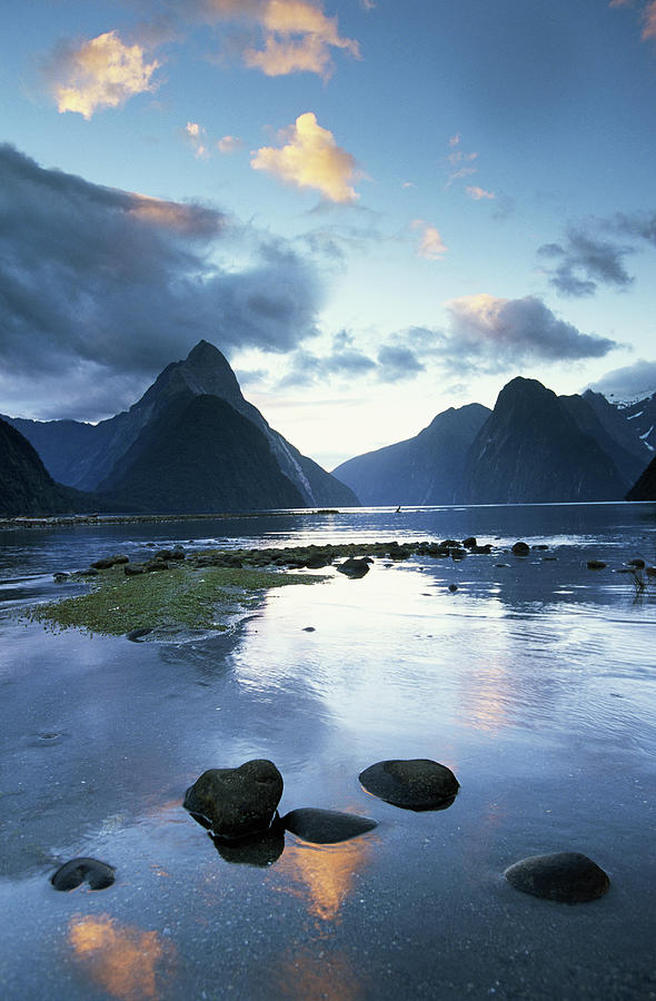 New Zealand, South Island, Milford Photograph by Peter Adams