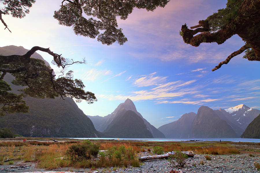 New Zealand, South Island, Southland, Fiordland National Park, Australasia, Milford Sound Digital Art by Maurizio Rellini