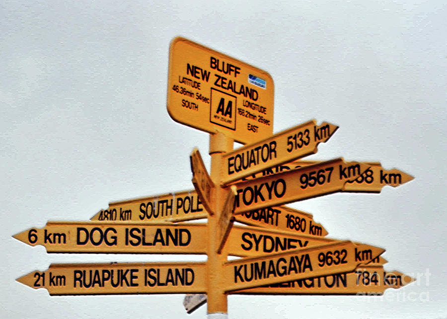 New Zealands Southern Signpost Photograph by Lydia Holly